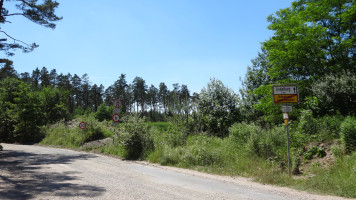 Der Wald im Hintergrund wird wohl dem Sandabbau geopfert