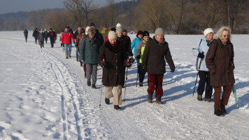 Die Wanderschlange war ganz schön lang